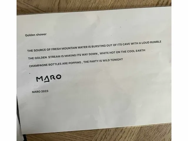 Maro “golden shower” orgineel werk - afbeelding 2 van  2