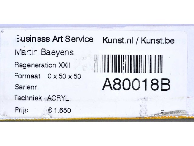 Martin baeyens - regeneration xxii - acryl op doek - 50x50 cm - 2005 - afbeelding 3 van  12