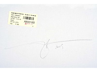 Martin baeyens - regeneration xxii - acryl op doek - 50x50 cm - 2005 - afbeelding 4 van  12