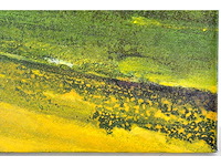 Martin baeyens - regeneration xxii - acryl op doek - 50x50 cm - 2005 - afbeelding 7 van  12