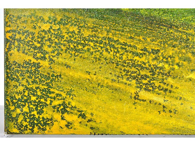 Martin baeyens - regeneration xxii - acryl op doek - 50x50 cm - 2005 - afbeelding 8 van  12