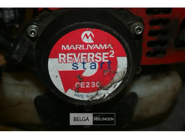 Maruyama bosmaaier - afbeelding 5 van  5