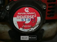 Maruyama bosmaaier - afbeelding 5 van  5