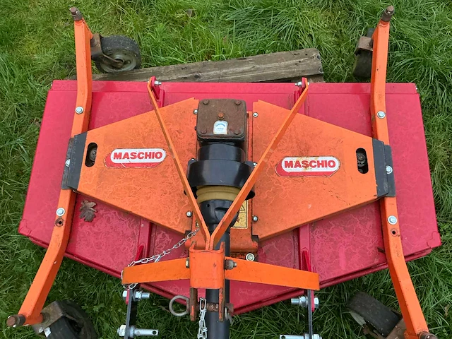 Maschio weideblotter - afbeelding 2 van  7