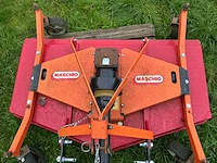Maschio weideblotter - afbeelding 2 van  7