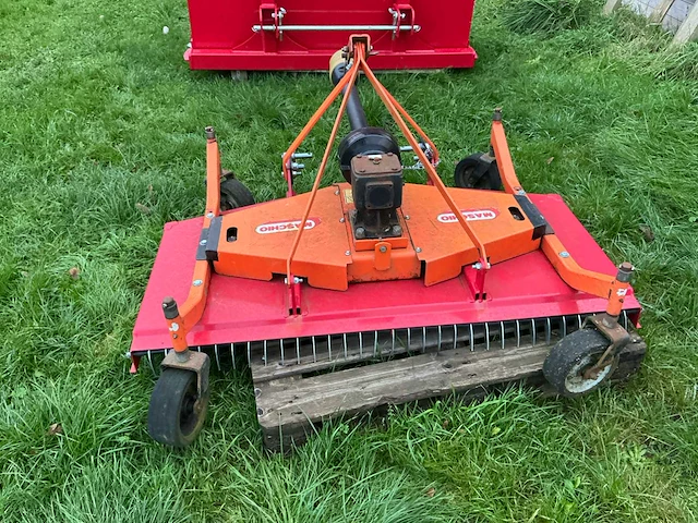 Maschio weideblotter - afbeelding 5 van  7