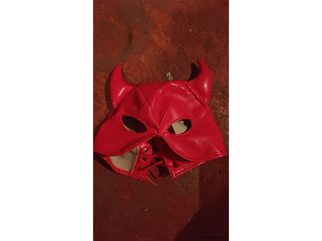 Maskers - afbeelding 1 van  2