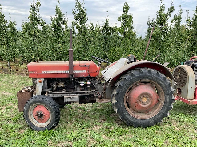 Massey ferguson 135 oldtimer tractor - afbeelding 9 van  16