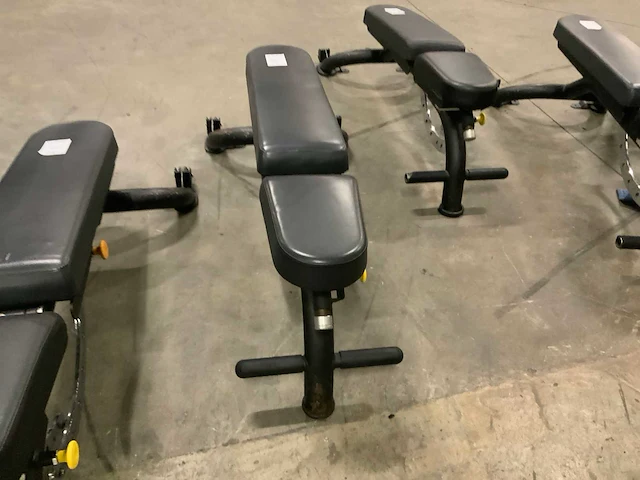 Matrix adjustable bench krachtstation - afbeelding 3 van  4