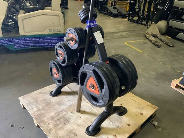 Matrix rek met ziva schijven 265kg - afbeelding 4 van  6