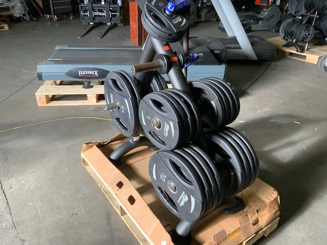 Matrix schijvenrek met 187,5kg schijven nieuwe schijven - afbeelding 2 van  6