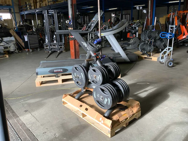 Matrix schijvenrek met 187,5kg schijven nieuwe schijven - afbeelding 5 van  6