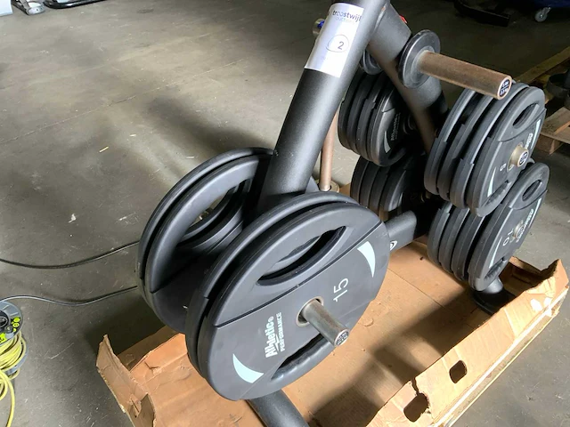 Matrix schijvenrek met 187,5kg schijven nieuwe schijven - afbeelding 6 van  6