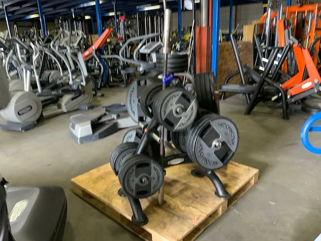 Matrix schijvenrek met 187,5kg technogym schijven - afbeelding 2 van  5