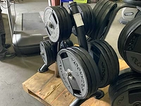 Matrix schijvenrek met 187,5kg technogym schijven - afbeelding 3 van  5