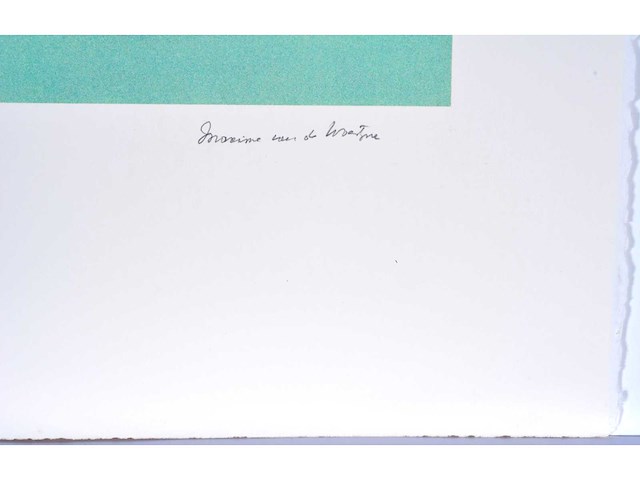 Maxime van de woestyne - kleurenzeefdruk - 1/130 - afbeelding 3 van  6