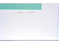 Maxime van de woestyne - kleurenzeefdruk - 1/130 - afbeelding 3 van  6