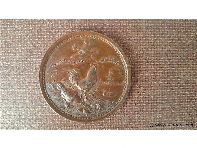 Medaille / herdenkingsmunt - afbeelding 1 van  2