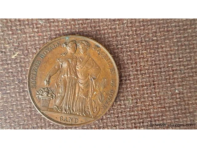Medaille / herdenkingsmunt - afbeelding 1 van  2