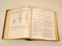 Medische encyclopedieen (plm 22) - afbeelding 8 van  8