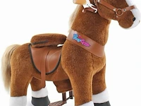 Medium horse brown with white hoof