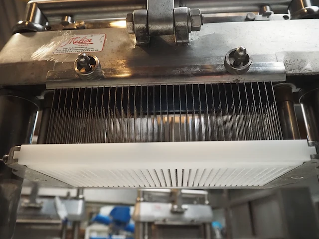 Melior-ganda - afbeelding 6 van  8