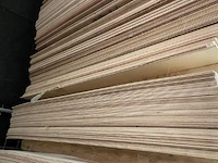 Meranti plywoodplaten - afbeelding 2 van  3