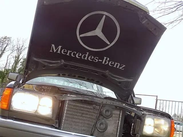 Mercedes-benz 300 se - afbeelding 39 van  55