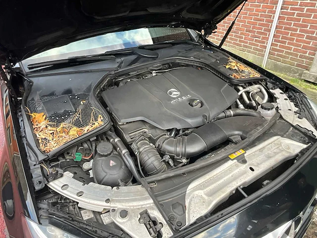 Mercedes-benz c300 h - 2016 - afbeelding 31 van  37