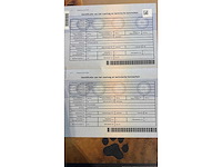 Mercedes-benz sprinter cdi bedrijfswagen - afbeelding 11 van  20