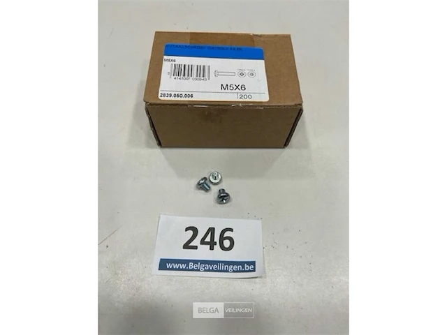 Metaalschroef m5x6 - afbeelding 1 van  3