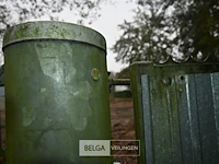 Metalen poort - afbeelding 3 van  6