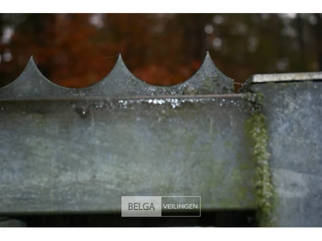 Metalen poort - afbeelding 6 van  6