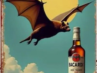 Metalen retrolook sierbord - afbeelding 1 van  1