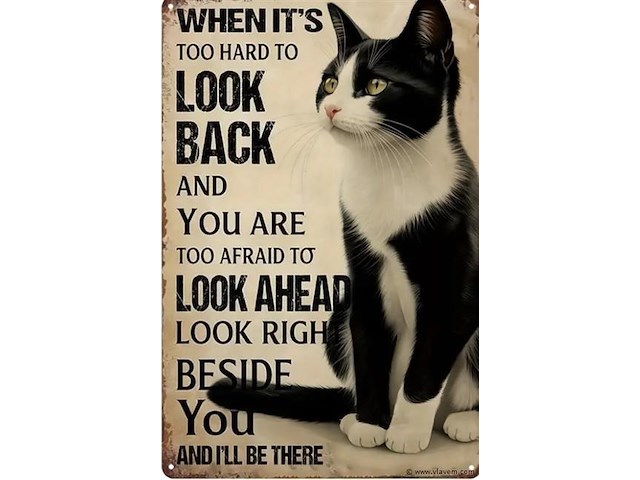 Metalen retrolook sierbord - afbeelding 1 van  1