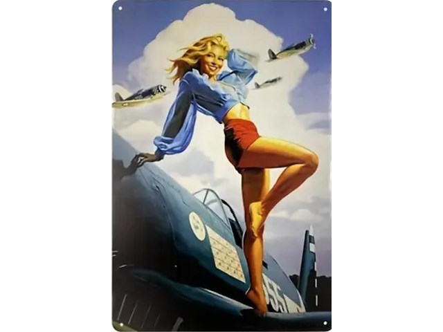 Metalen retrolook sierbord - afbeelding 1 van  1