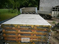 Metalen uitbouw met dakplaten, palen en spanten - afbeelding 3 van  9