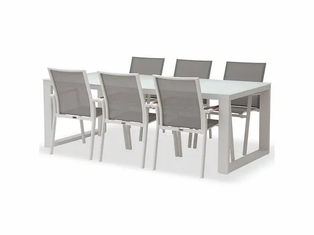 Meubili - demi-linate tafel 220*100 alu wit / glas wit + 6 adria armstoelen wit / grijs - afbeelding 1 van  1