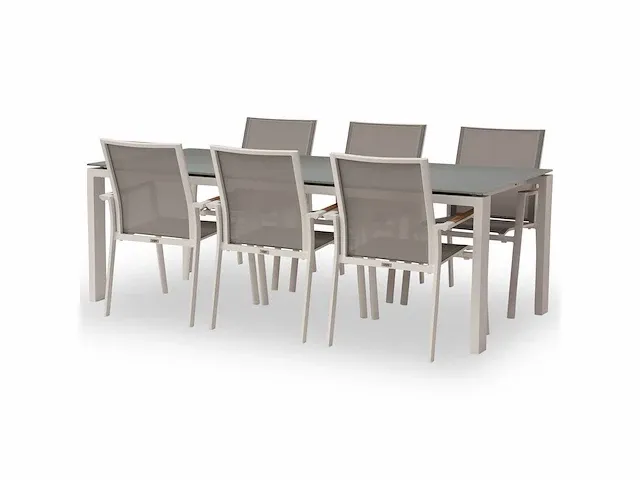 Meubili - fritz-mar tafel 220*100 alu wit / glas wit + 6 adria armstoelen - afbeelding 1 van  1