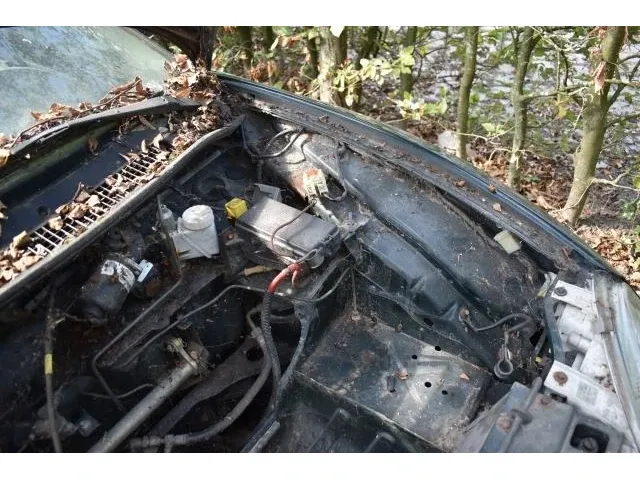 Mg-f met hardtop - afbeelding 21 van  24