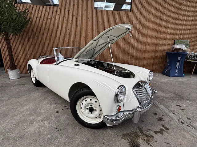 Mg - afbeelding 4 van  22