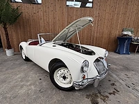 Mg - afbeelding 4 van  22