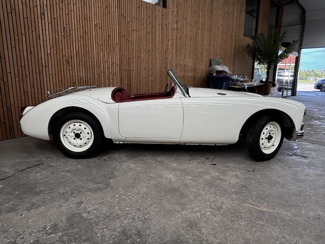 Mg - afbeelding 16 van  22
