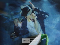 Micheal jackson fotokader - afbeelding 2 van  2