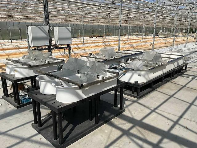 Microbio algae raceway (4x) - afbeelding 1 van  17