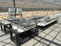 Microbio algae raceway (4x) - afbeelding 1 van  17
