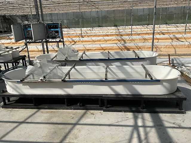 Microbio algae raceway (4x) - afbeelding 3 van  17