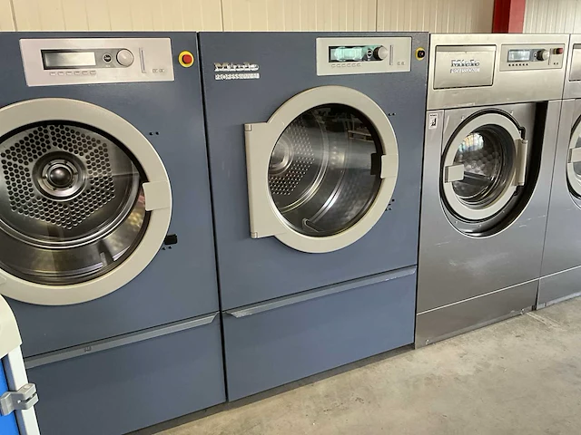 Miele pt 8257 g industriële wasdroger - afbeelding 1 van  6