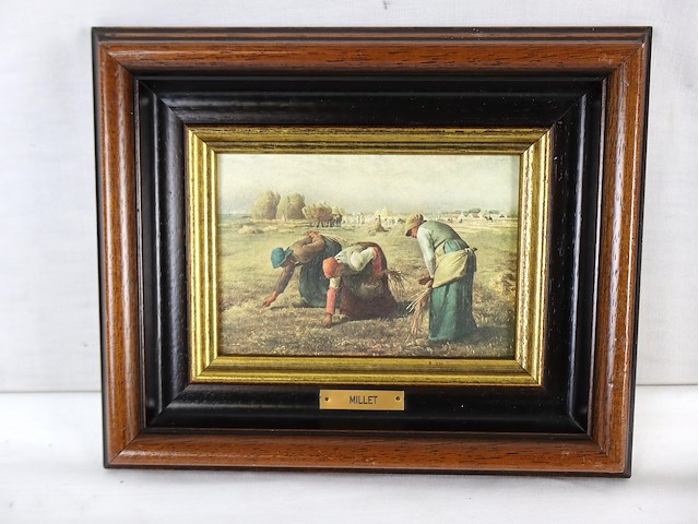 Millet (x2) - afbeelding 2 van  5