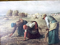 Millet (x2) - afbeelding 3 van  5